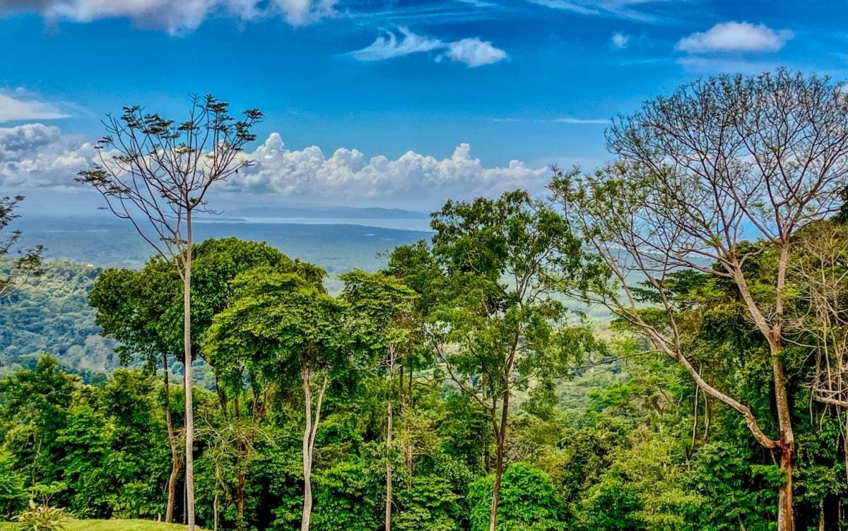 Propiedad en Tres Ríos