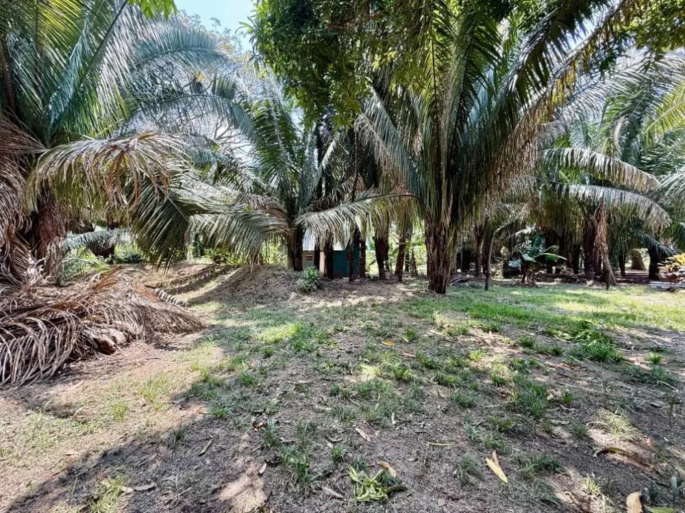 Terreno en Cóbano