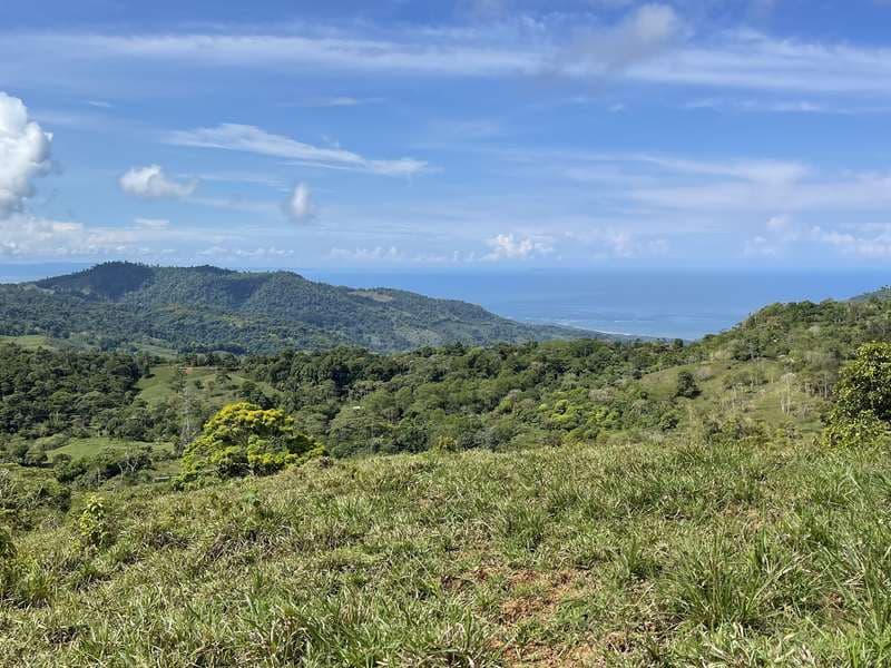 Land at Bahía Ballena