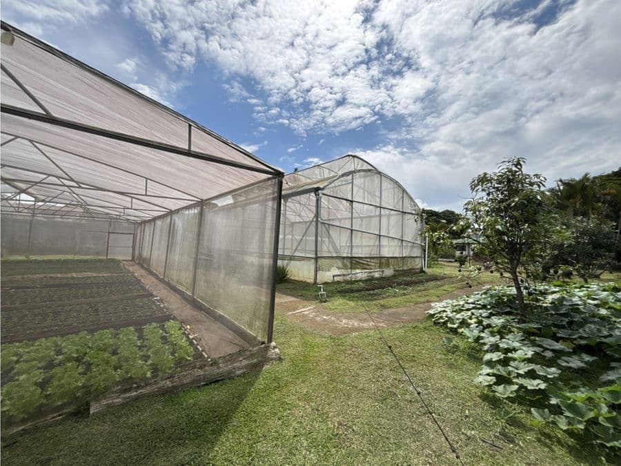 Propiedad en San Rafael Arriba