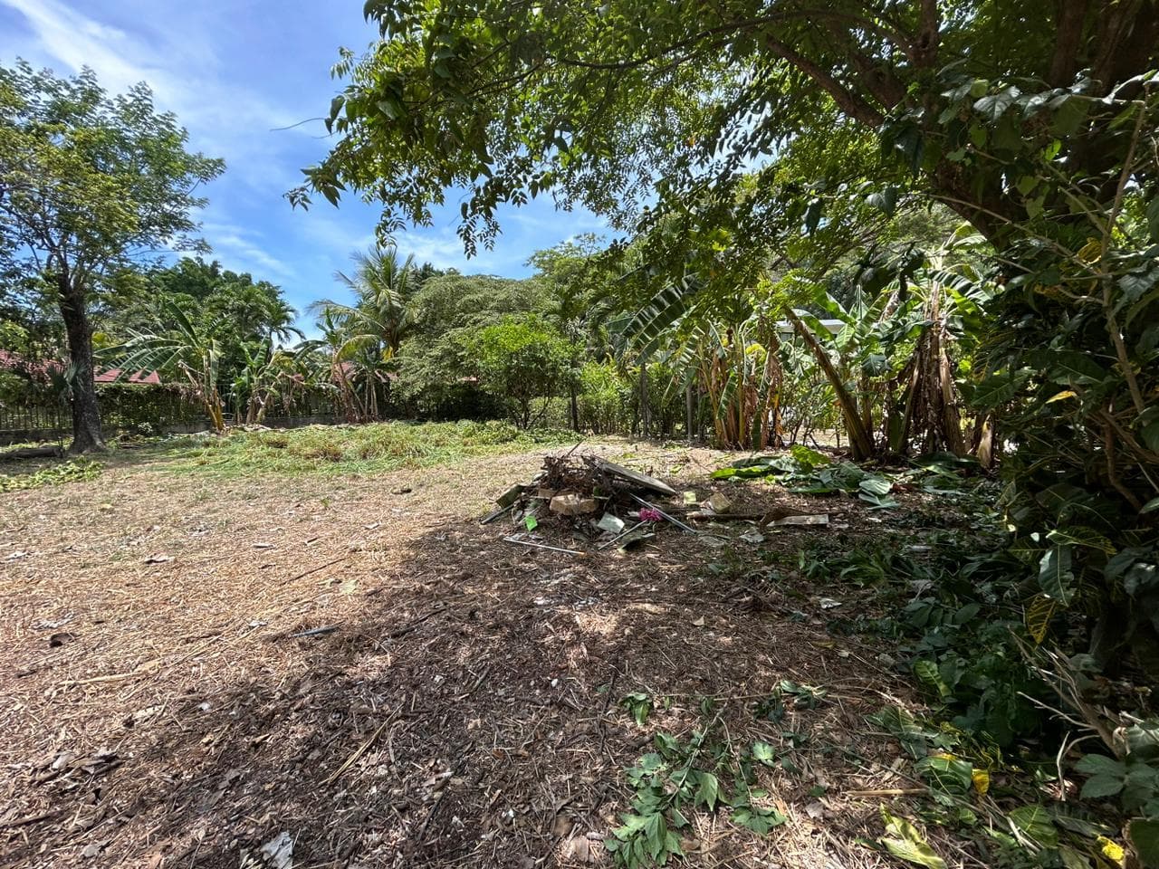 Terreno en Cóbano
