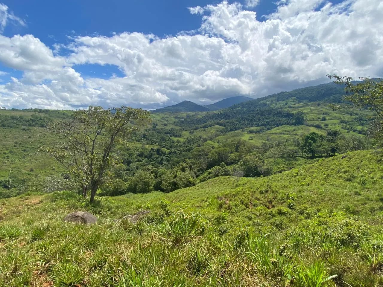 Land at San Isidro del General