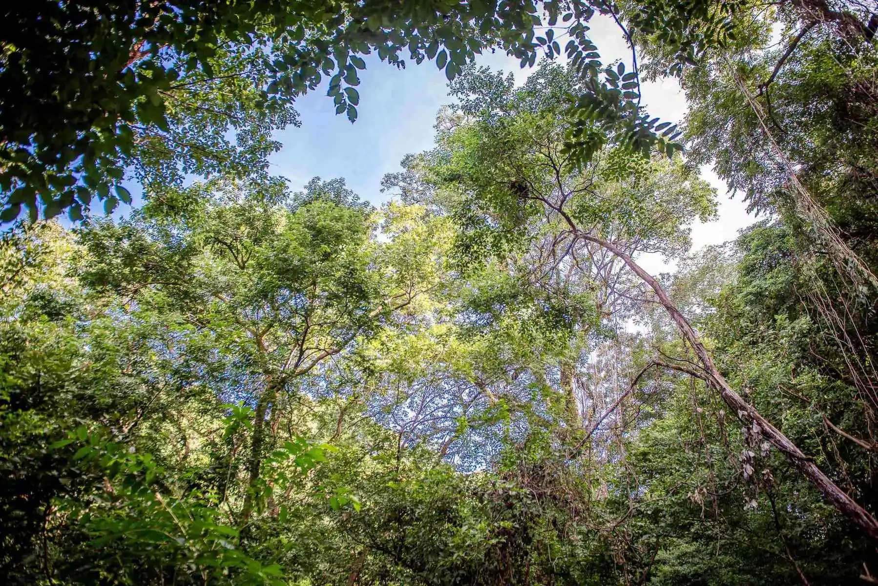 Terreno en Nosara