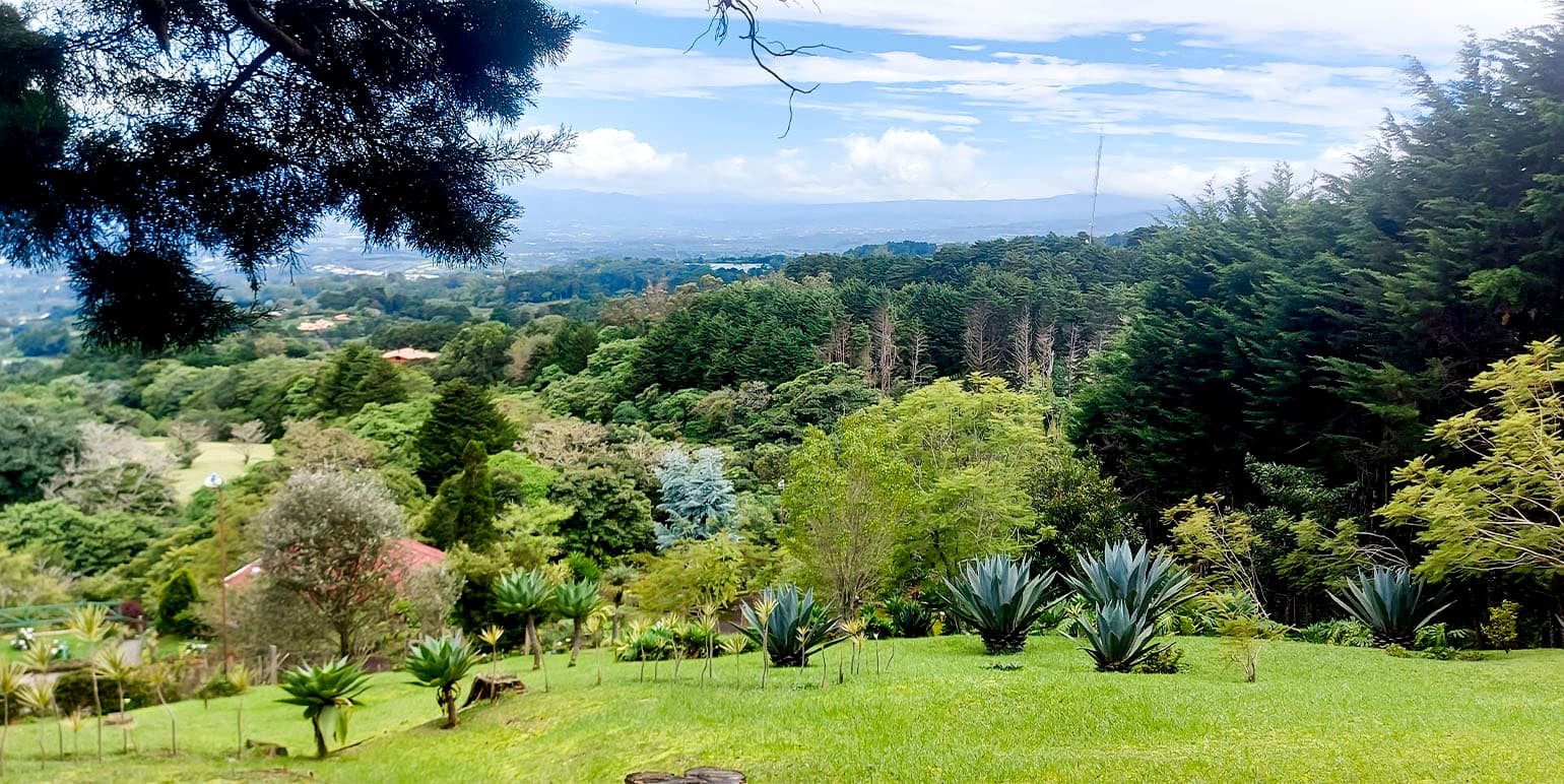 Propiedad en San José de la Montaña
