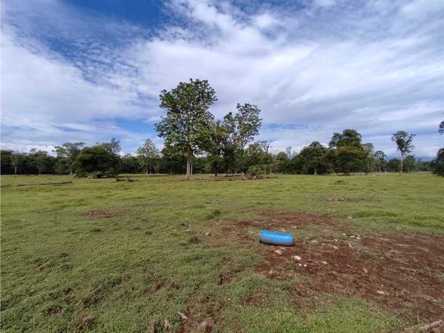 Property at Heredia