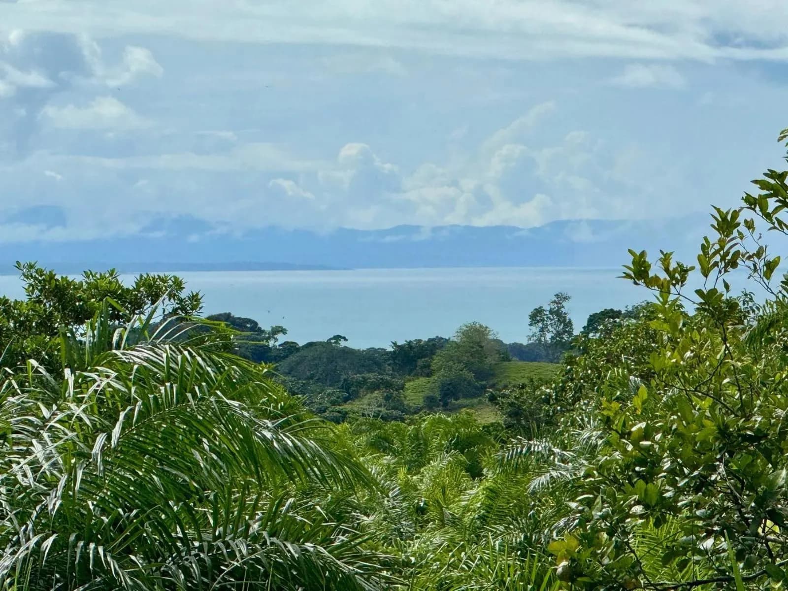 Land at Golfito