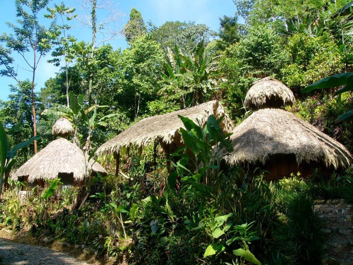 Estate at Cahuita
