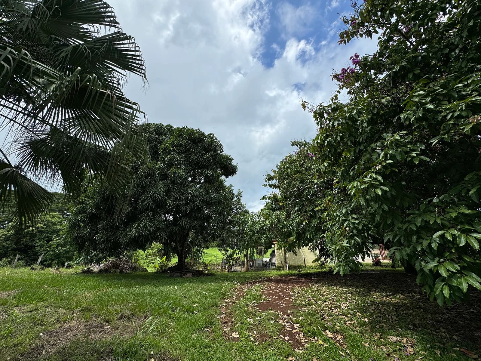 Terreno en Cóbano