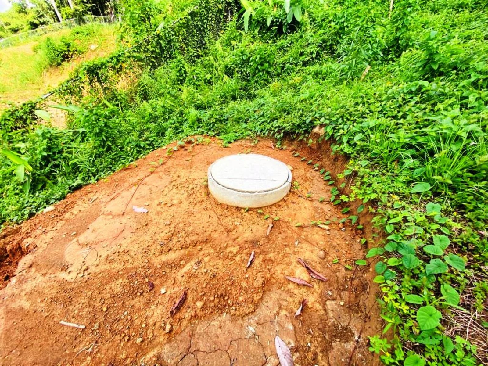 Terreno en Bahía Ballena