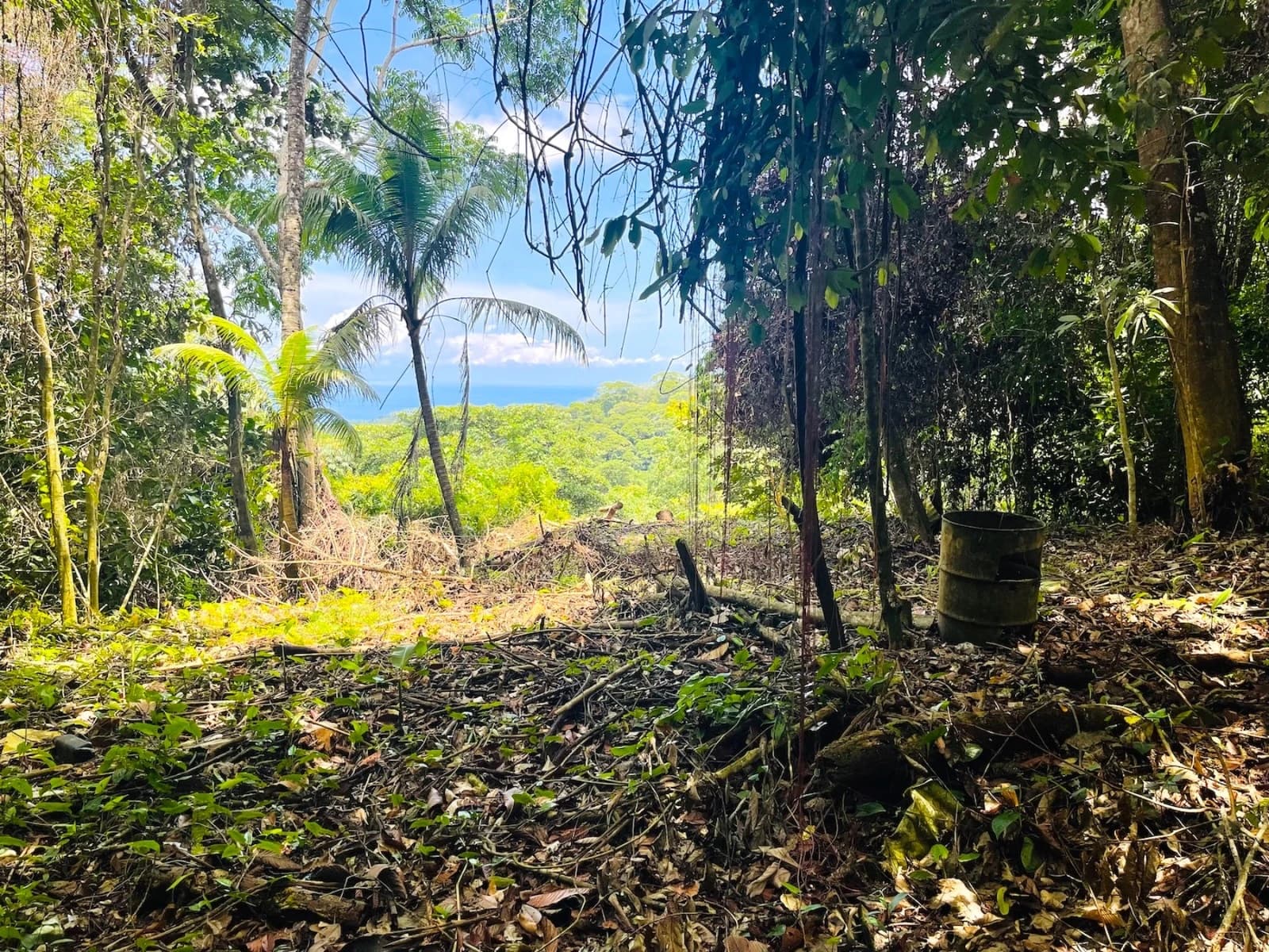 Terreno en Bahía Ballena