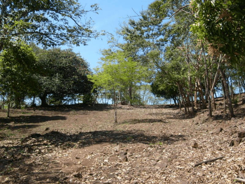 Land at Juanilama