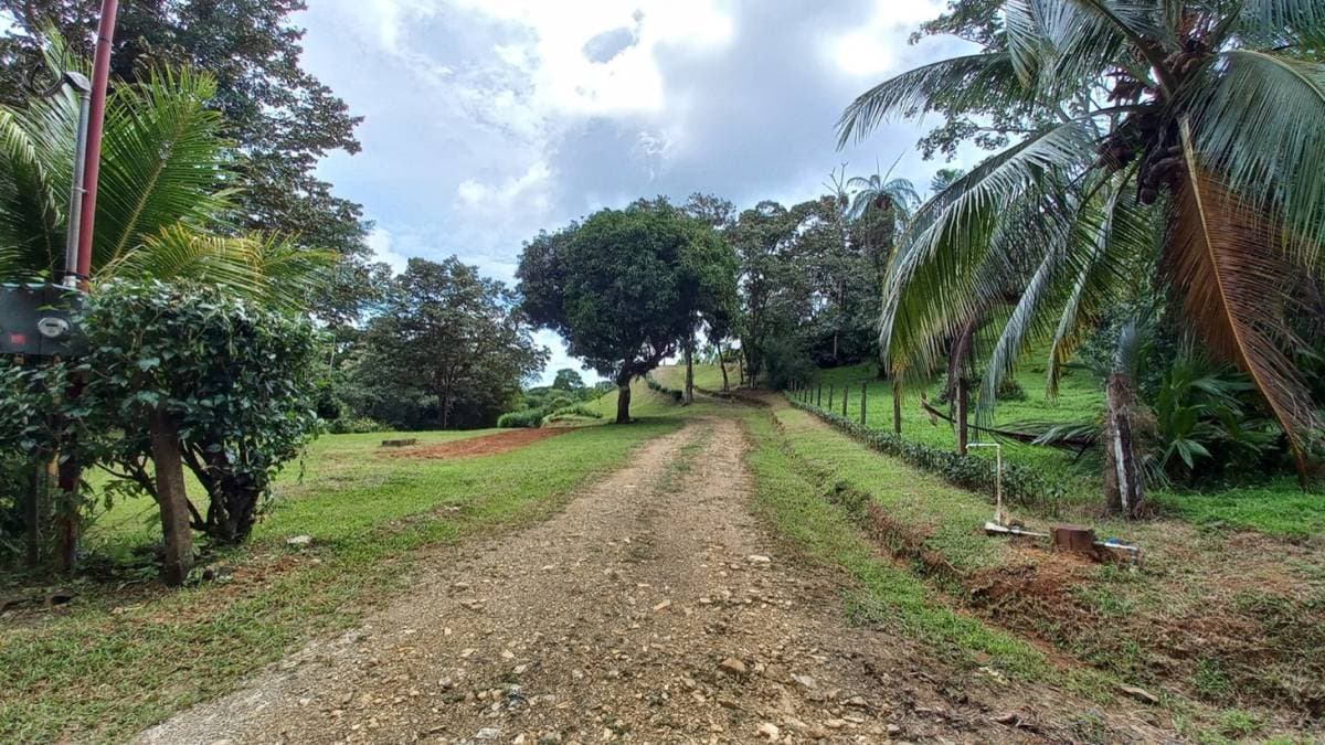 Propiedad en Ojochal