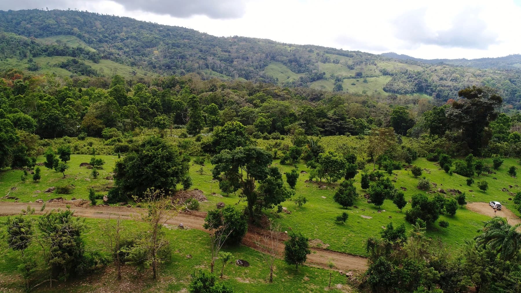 House at San Antonio