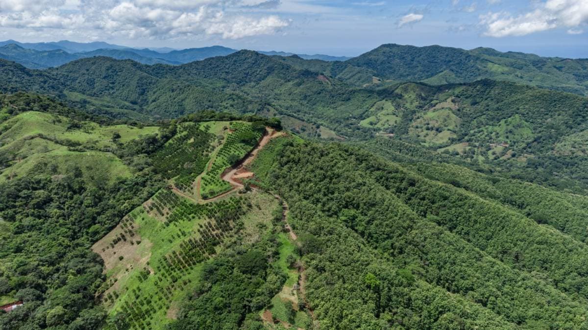 Propiedad en Belén de Nosarita