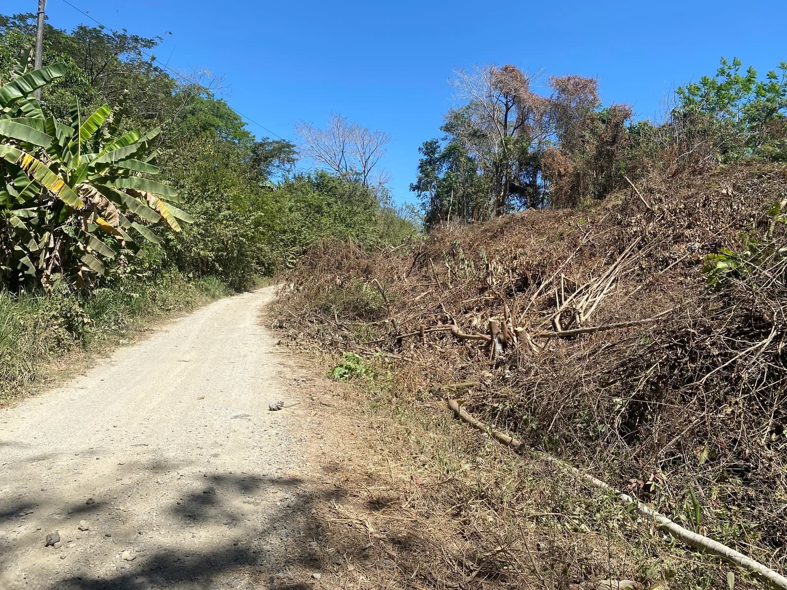 Terreno en Cóbano