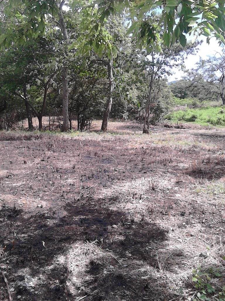 Propiedad en Tamarindo
