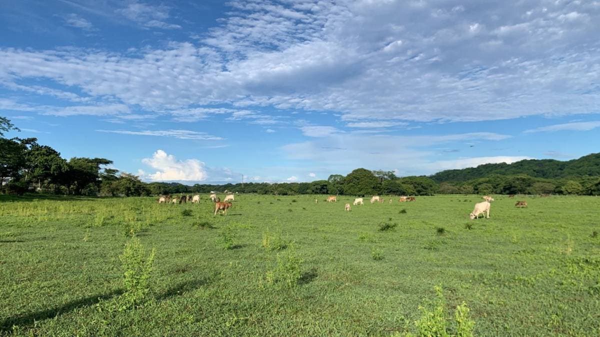 Propiedad en Tamarindo