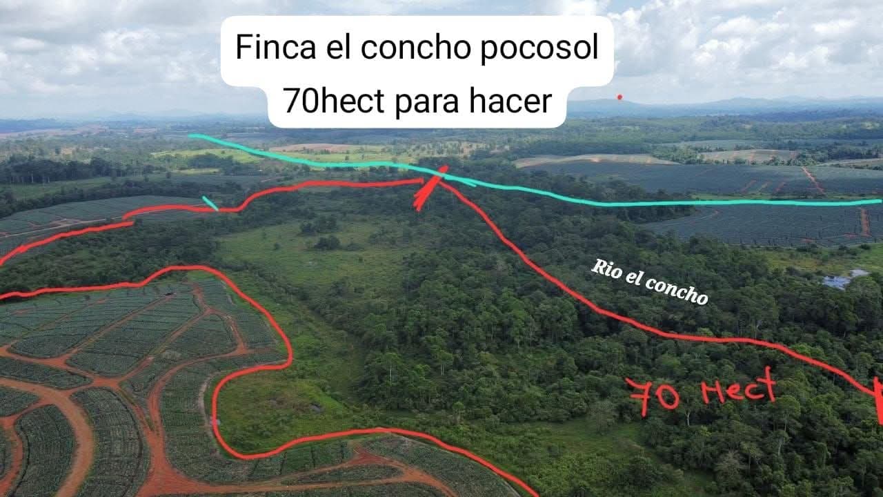 Finca en Pocosol