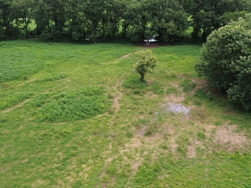 Land at Bahía Ballena