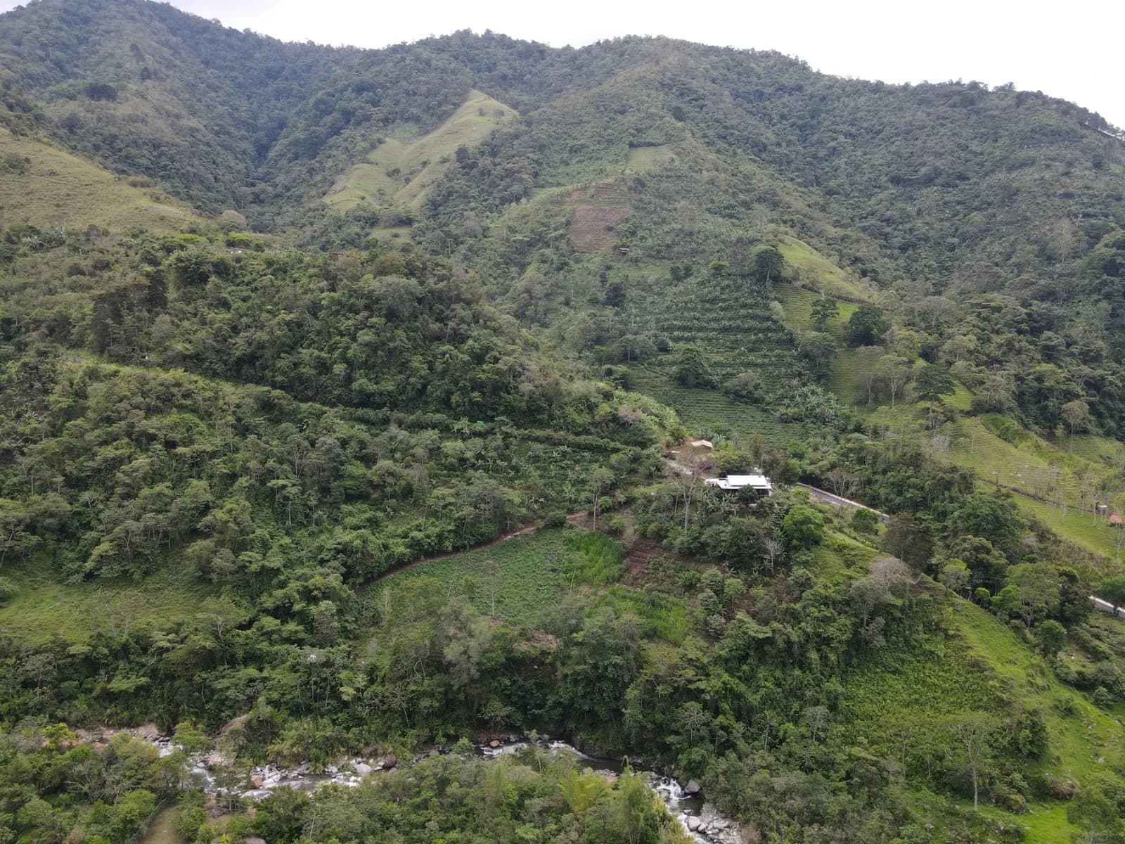 Commercial at El General