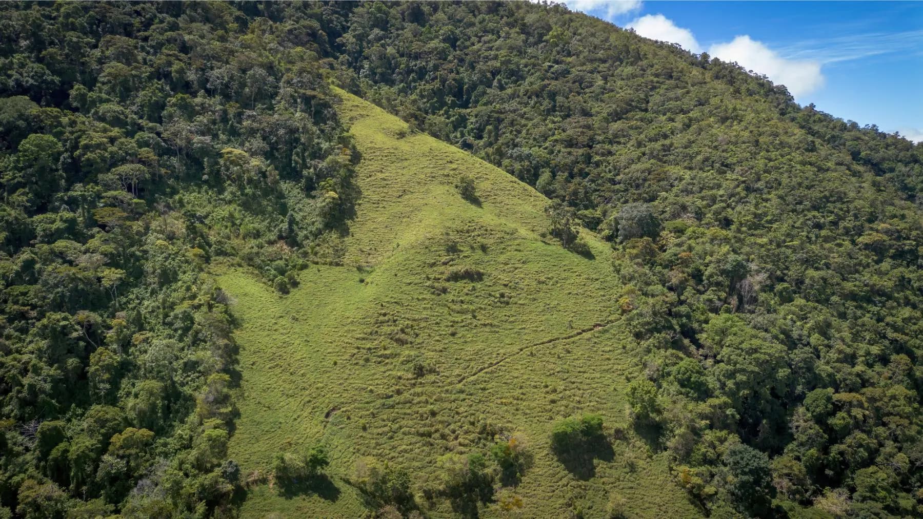 Land at Rivas