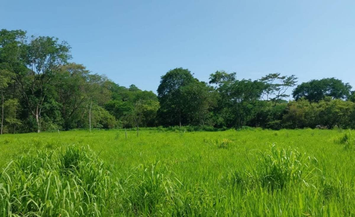 Propiedad en Uvita