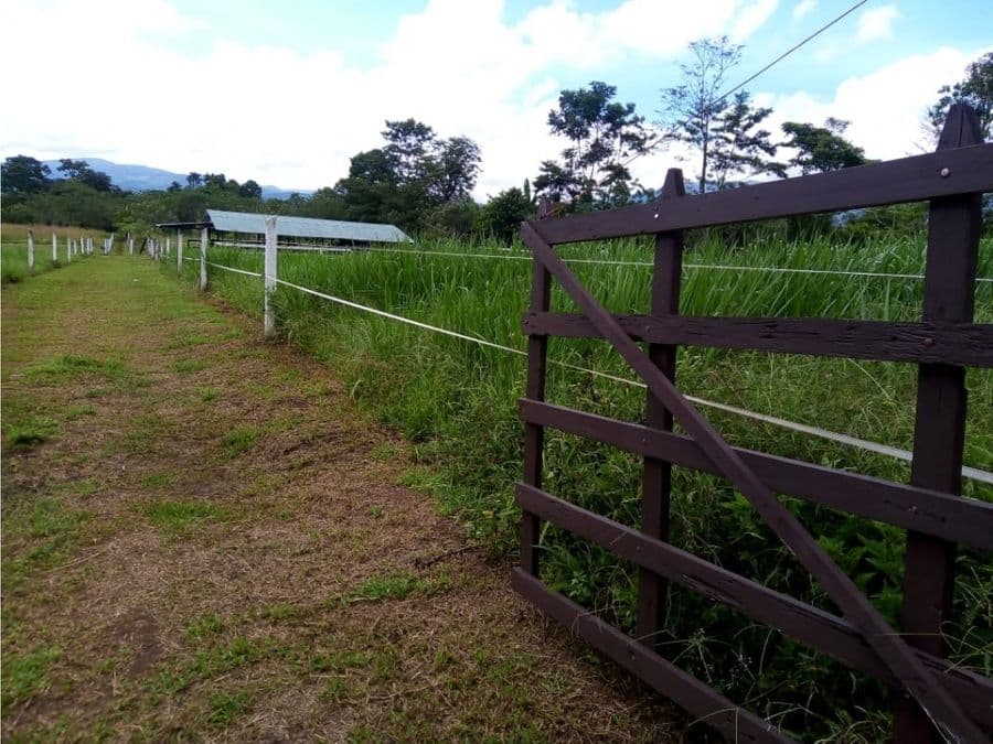 Propiedad en Alajuela