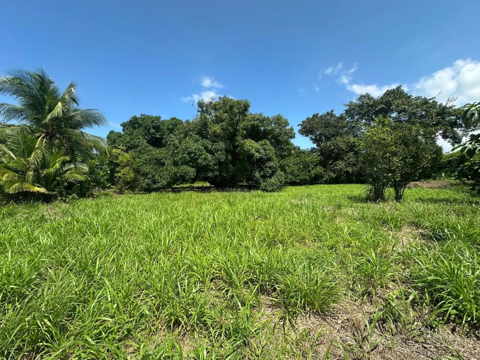 Land at Quepos