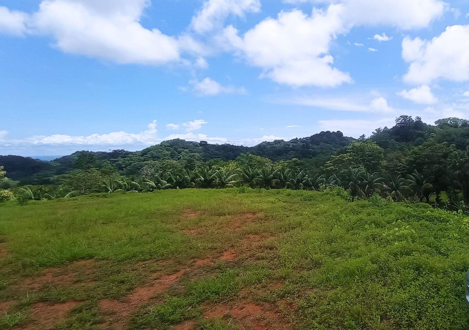 Terreno en Puerto Cortés