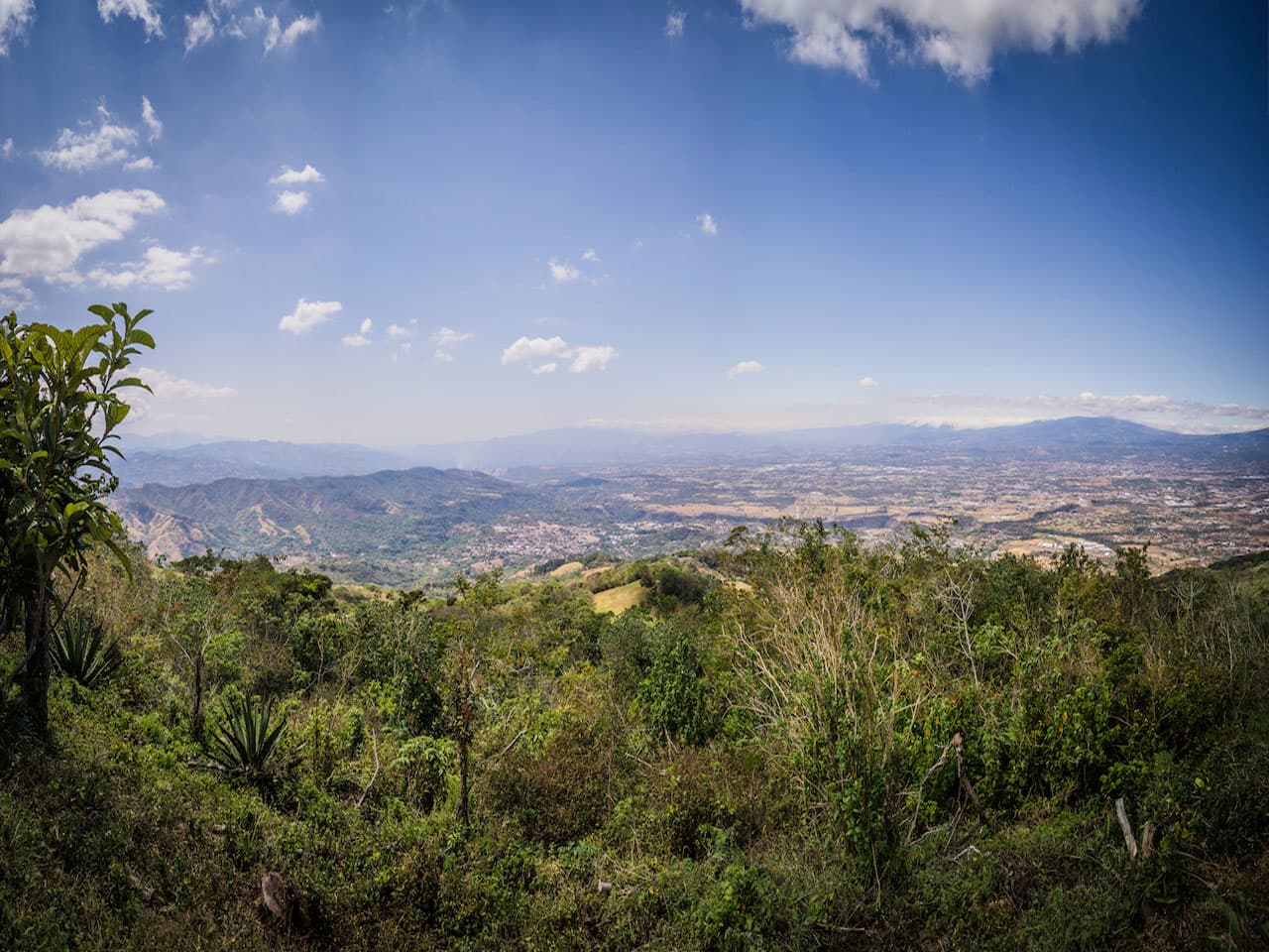 Property at Piedades