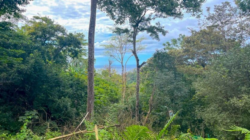 Land at Santa Teresa