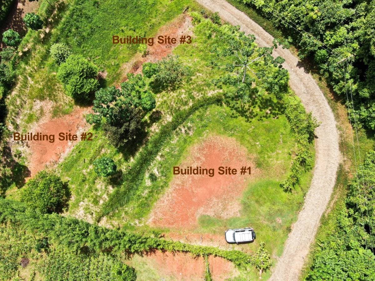Property at Savegre