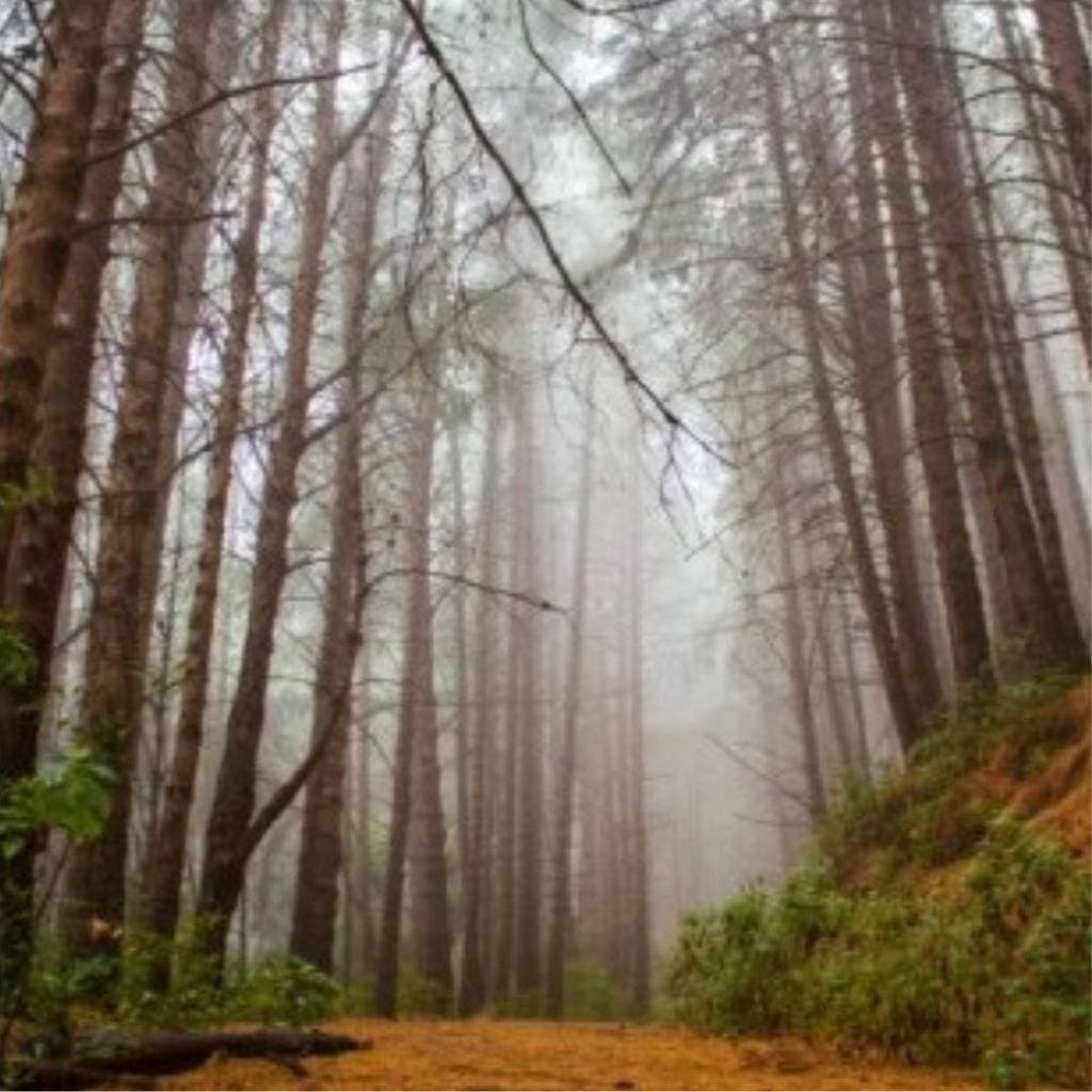 Propiedad en Occidental