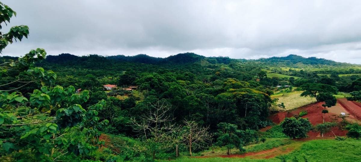 Propiedad en San Antonio
