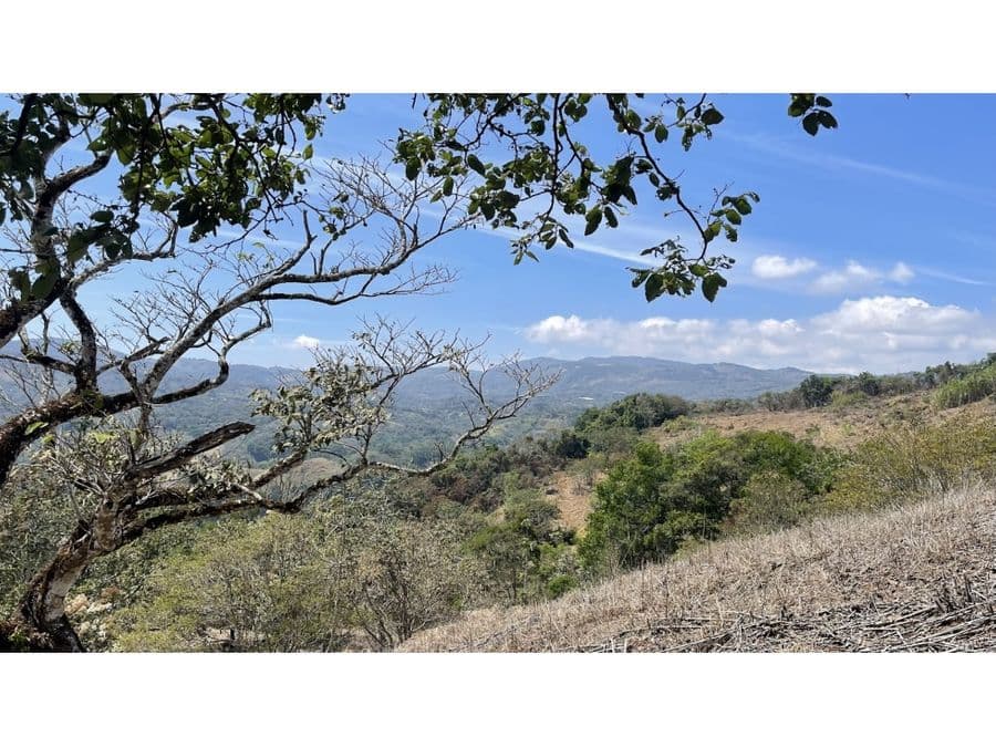 Property at Alajuela