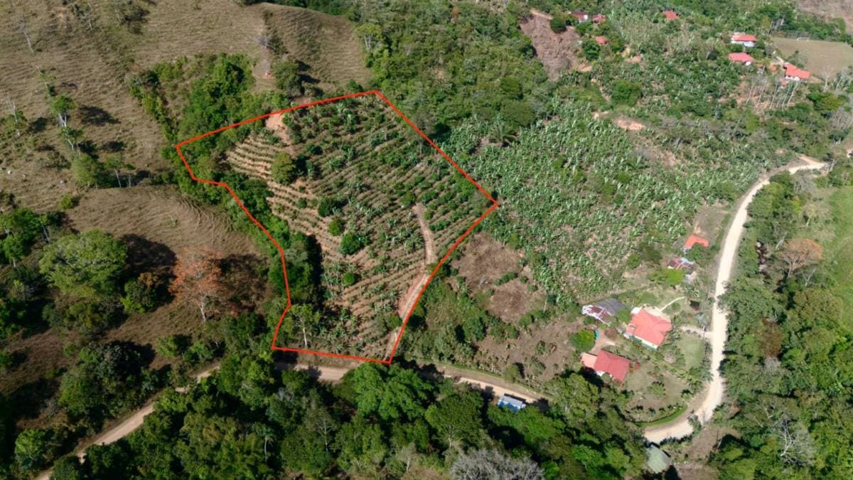 Finca en Platanillo