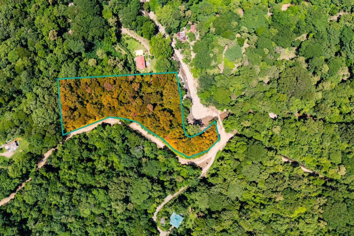 Property at Ojochal
