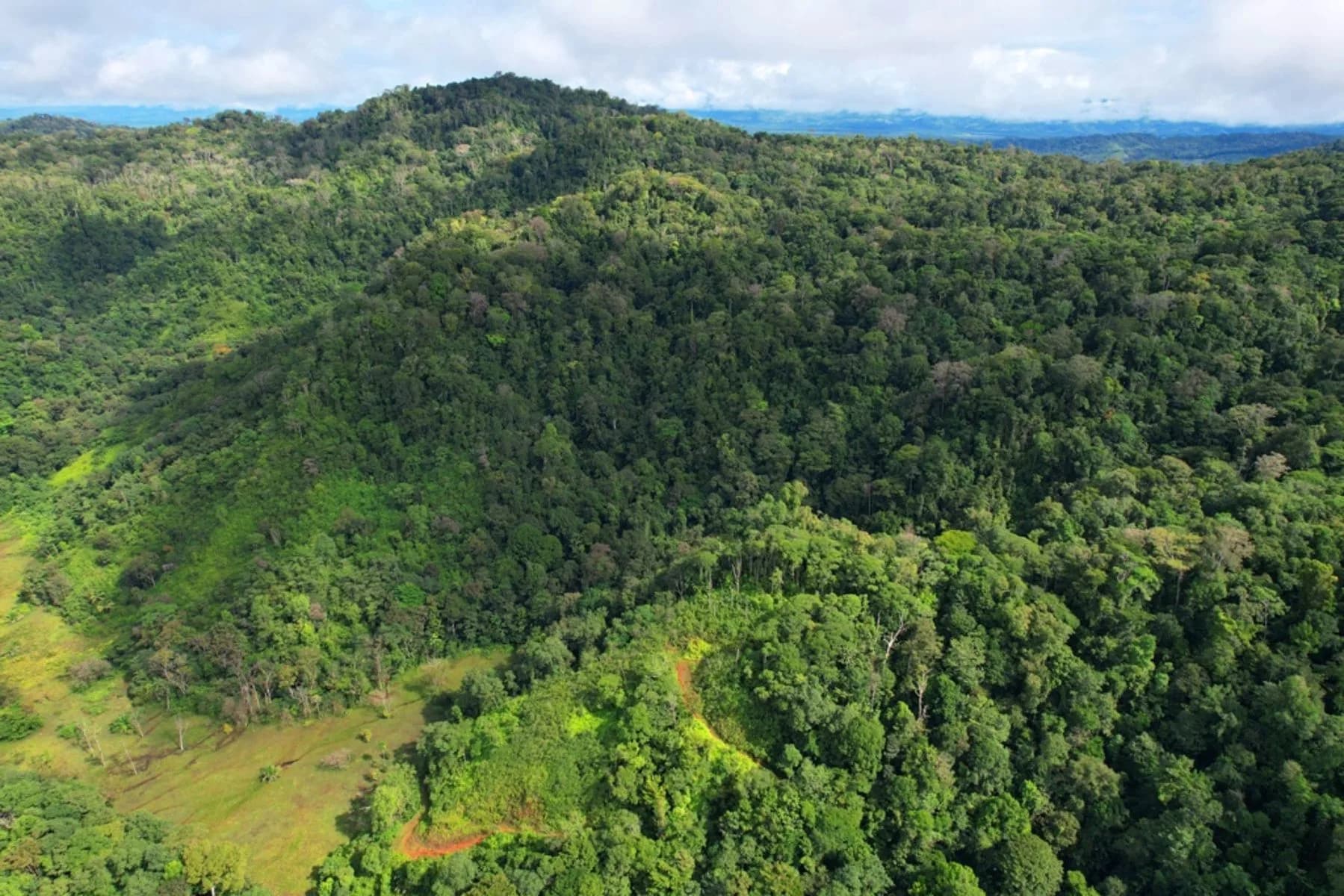Land at Puerto Jiménez