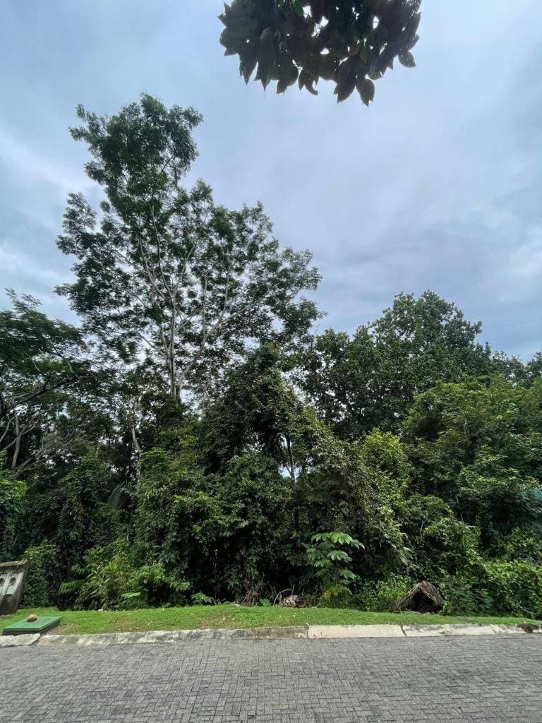 Propiedad en Parrita