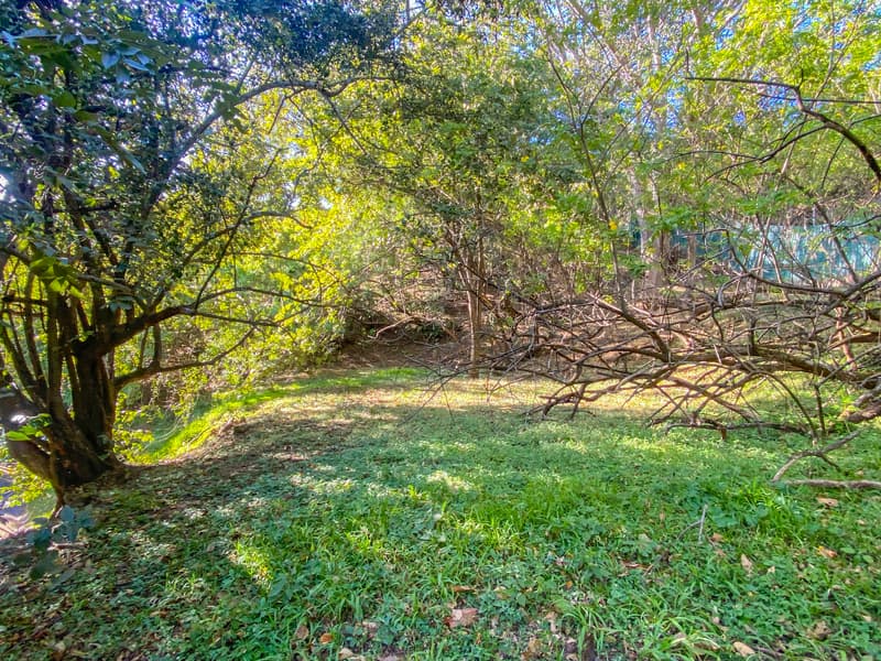 Terreno en San Ignacio