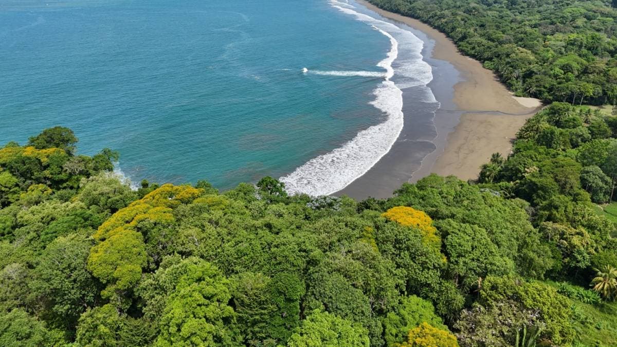 Comercial en Piñuela