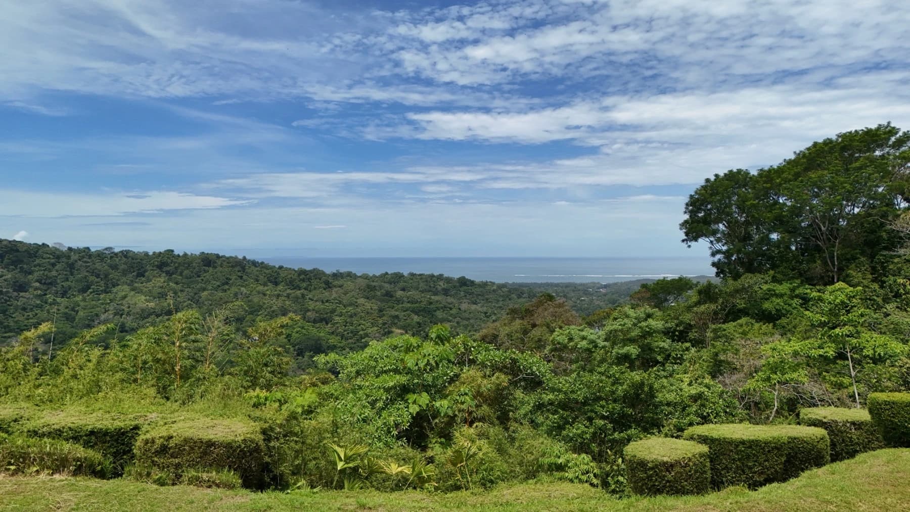 Land at Bahía Ballena