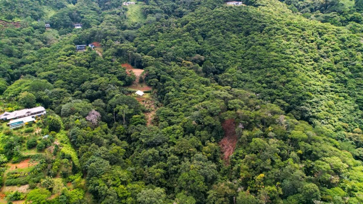 Property at Savegre