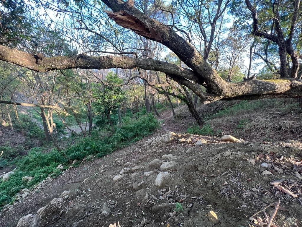 Land at Cóbano