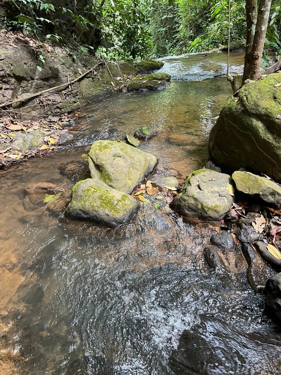 Land at San Isidro del General