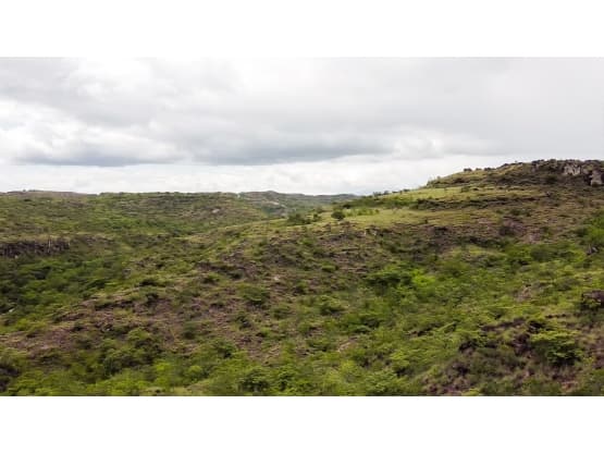 Property at Guanacaste