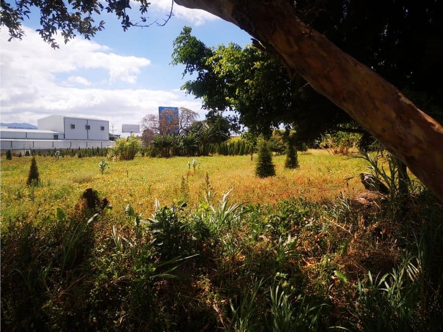 Terreno en San Pablo