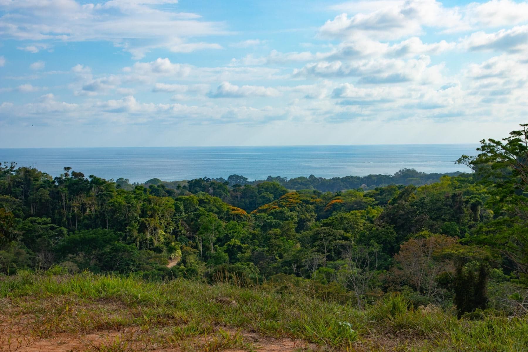 Terreno en Bahía Ballena