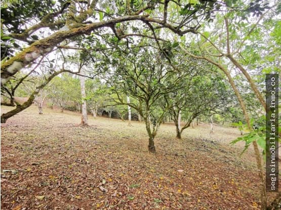 Terreno en Florencia