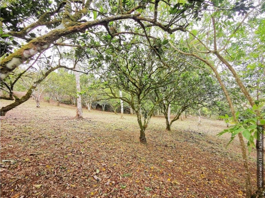 Terreno en Florencia